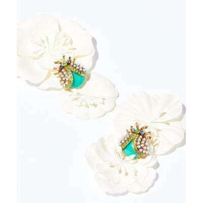 eye-candy---beetleaccessorieseye-candy-laplum-bottom-33936341