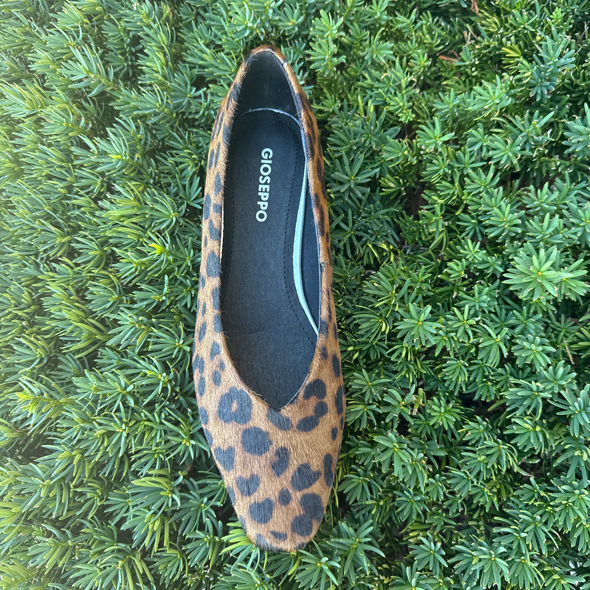 GIOSEPPO 80165 Ballet Flat