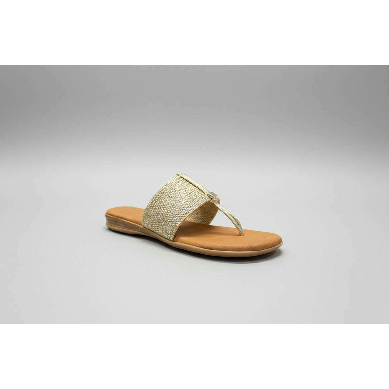 ANDRE ASSOUS Nice Sandal Platino | Plum Bottom
