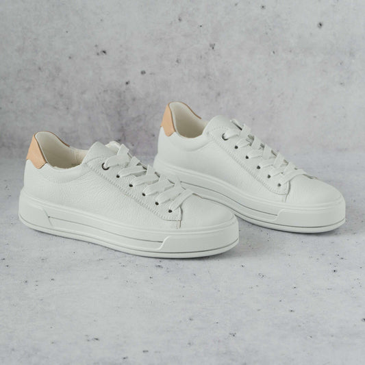 ARA - 23003-04 Carol - White/Taupe, Sneakers, Ara, Plum Bottom