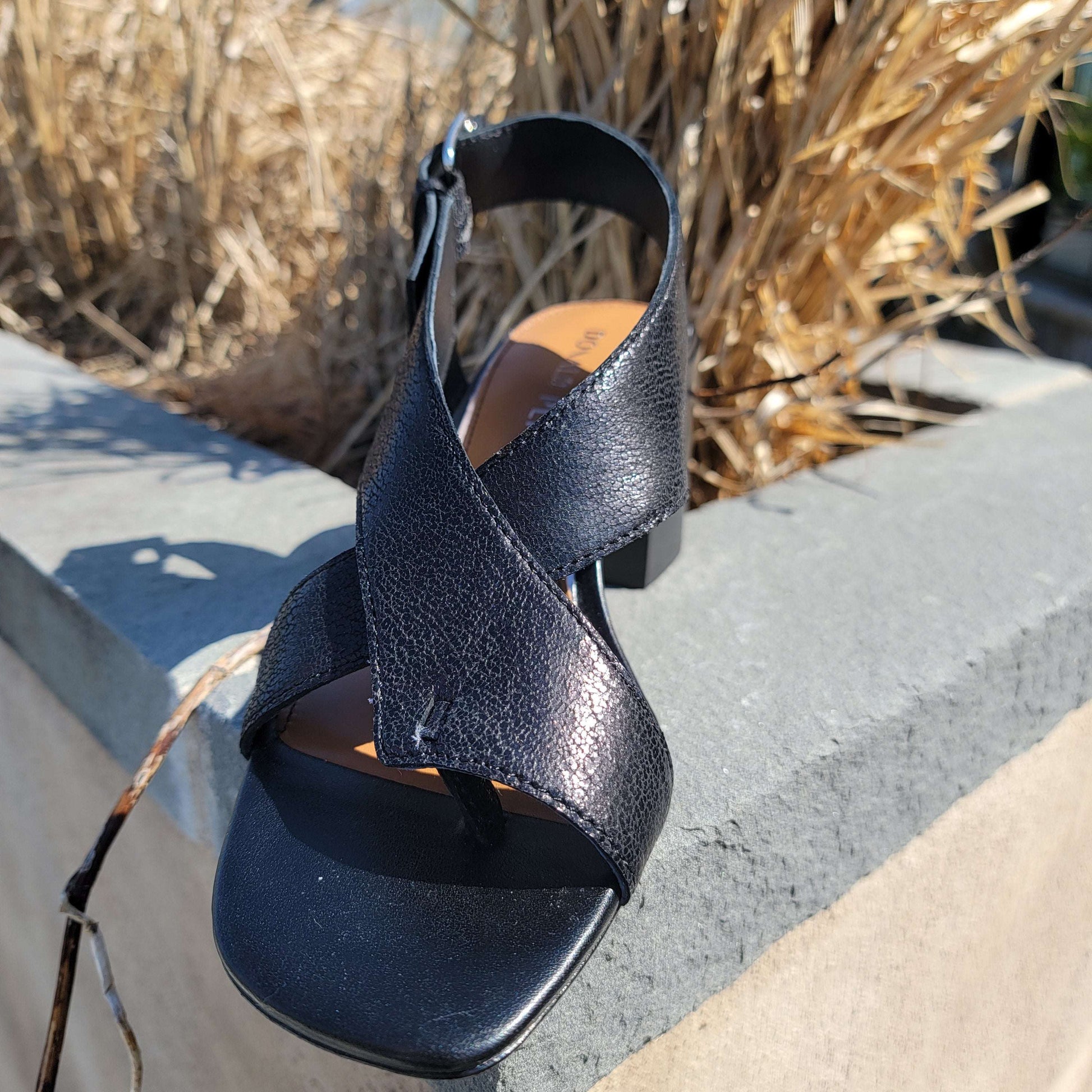 Donald Pliner - Pasha, Sandals, Donald Pliner, Plum Bottom