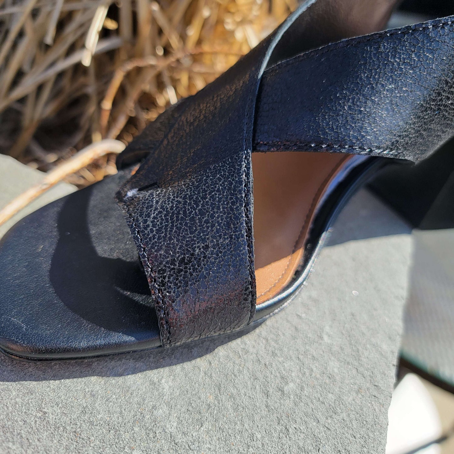 Donald Pliner - Pasha, Sandals, Donald Pliner, Plum Bottom