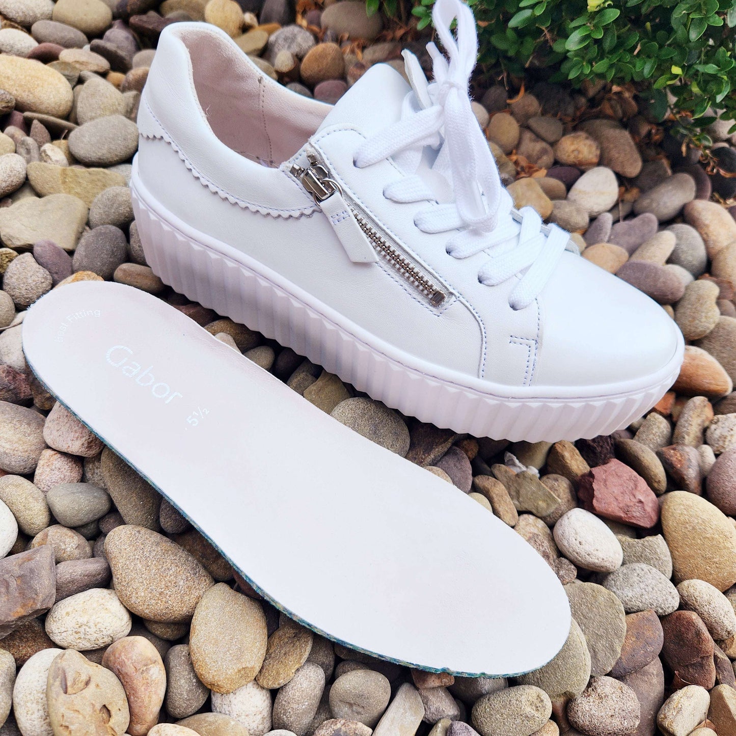 Gabor - 23.200.21, Sneakers, Gabor, Plum Bottom