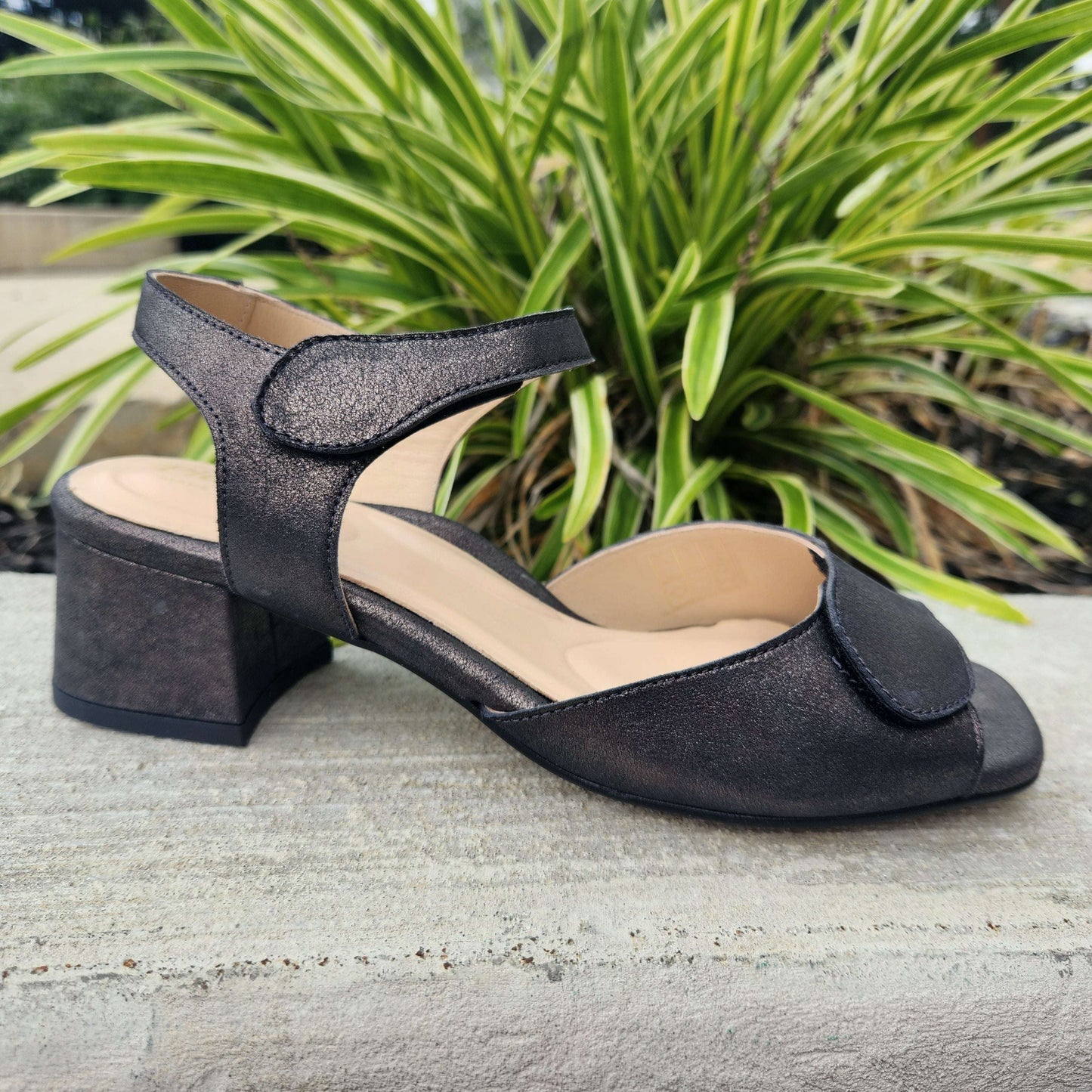 Pie Santo - 220236, Evening, Pie Santo, Plum Bottom