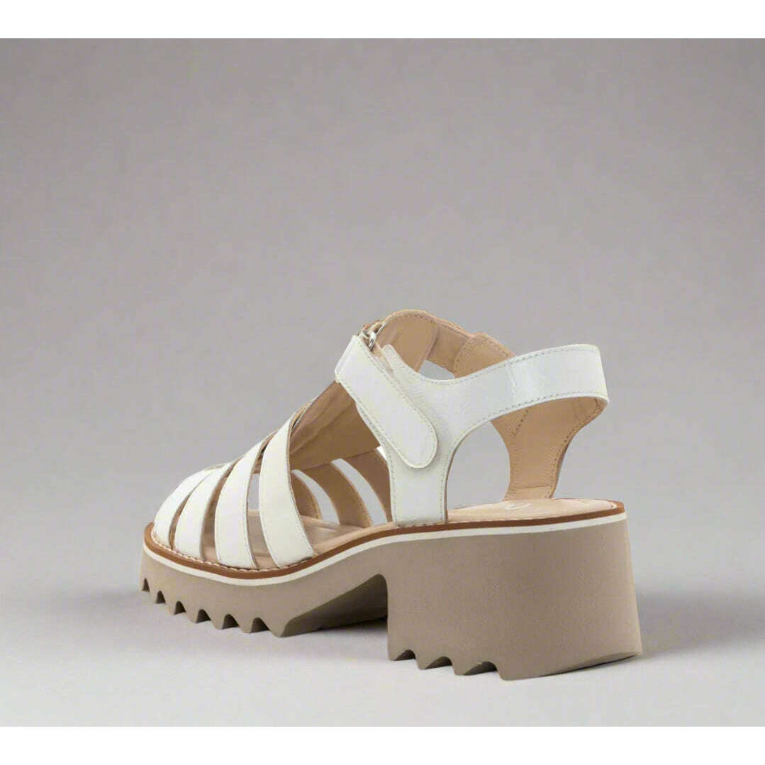 ARA - Phoenix, Sandals, Ara, Plum Bottom