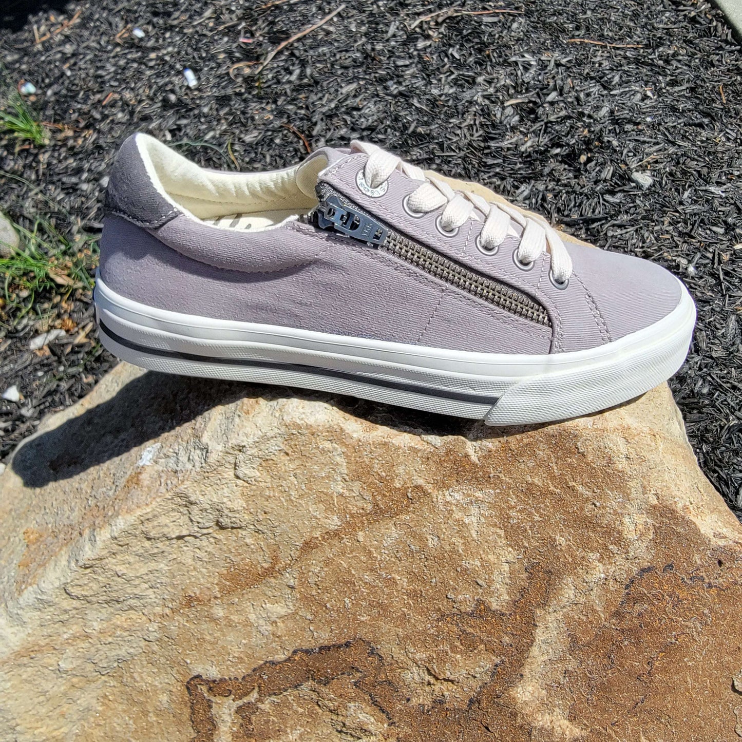 TAOS - Z Soul, Sneaker, TAOS, Plum Bottom