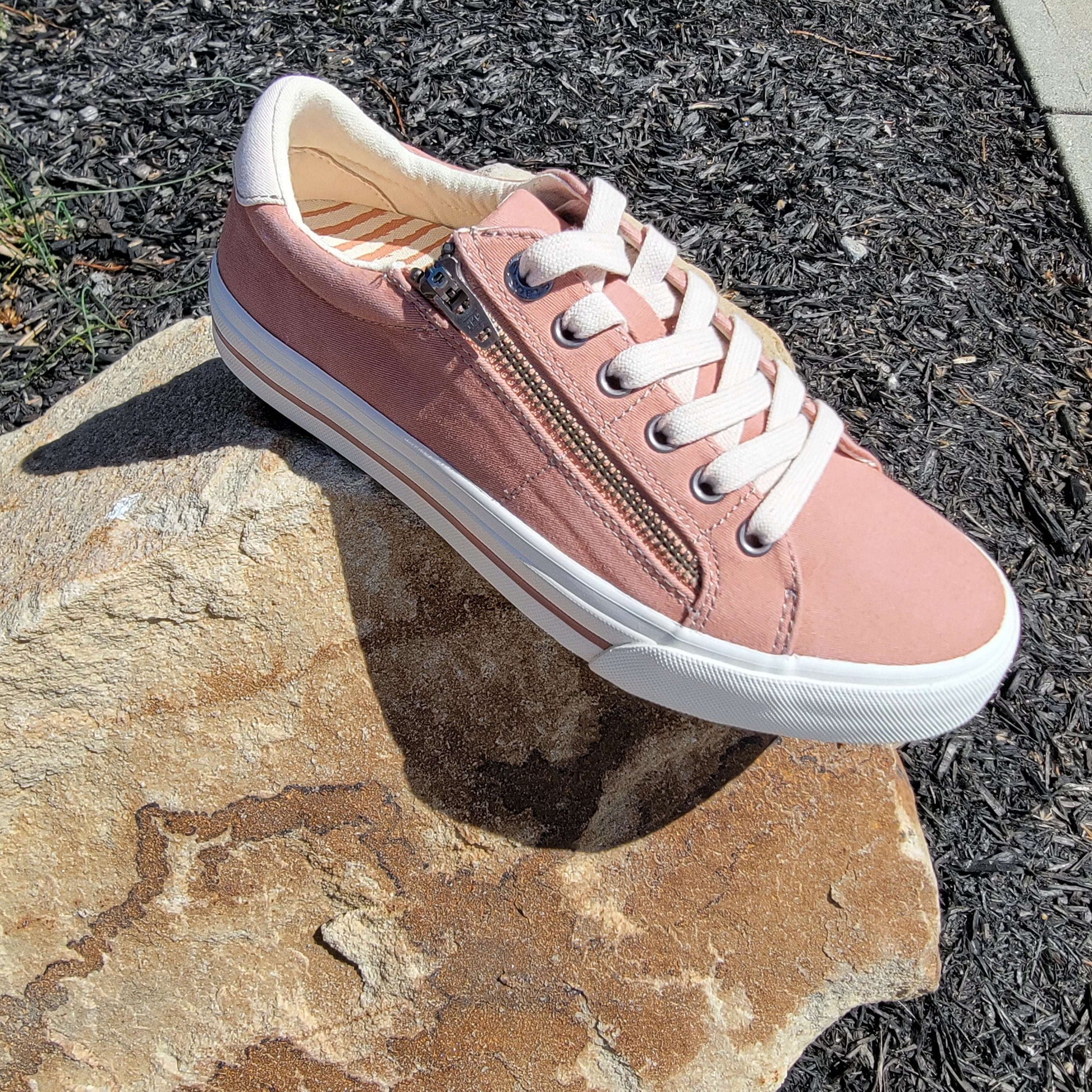 TAOS - Z Soul, Sneaker, TAOS, Plum Bottom