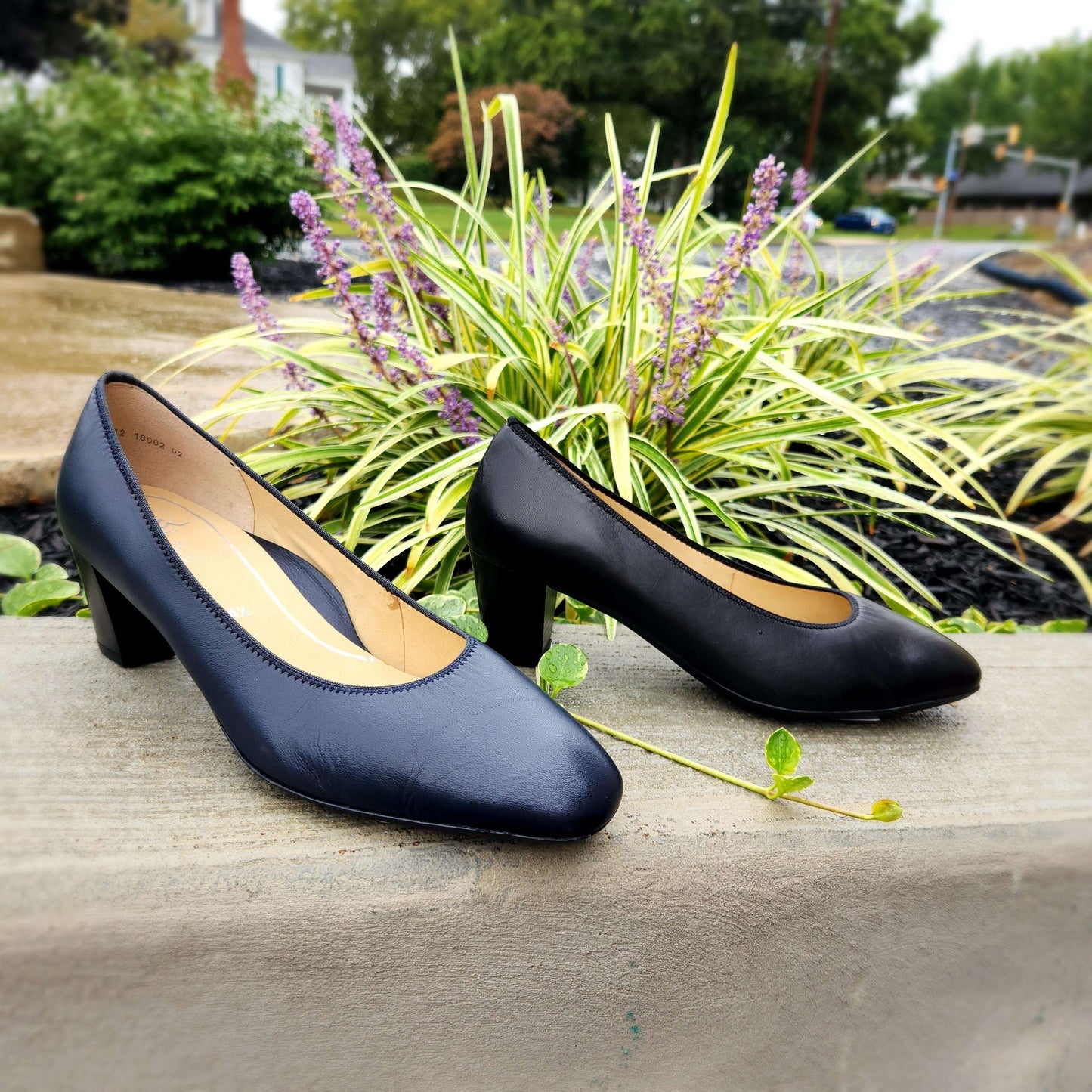 Ara - Veda, Pumps, Ara, Plum Bottom