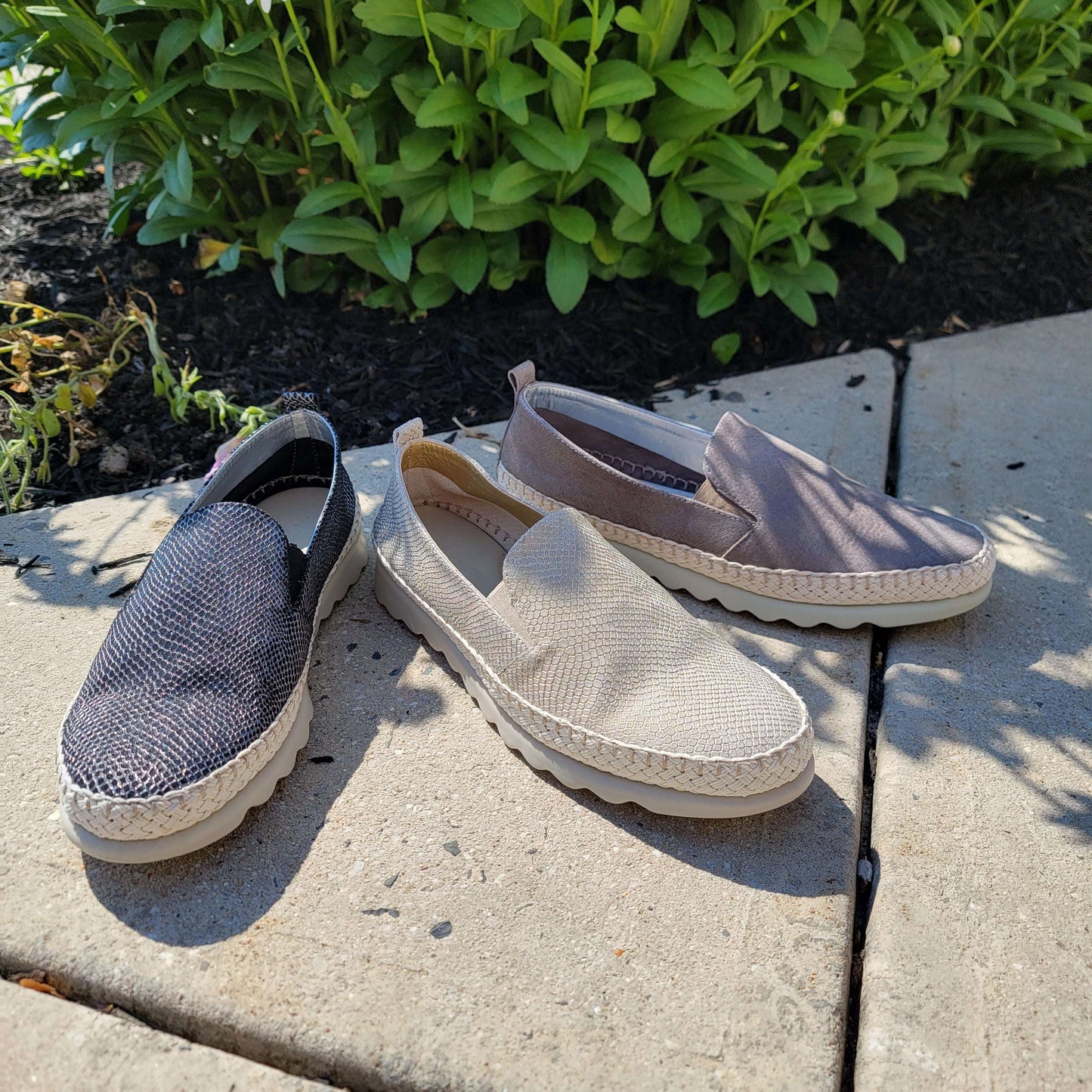 Chappie, SHOES, THE FLEXX, Plum Bottom