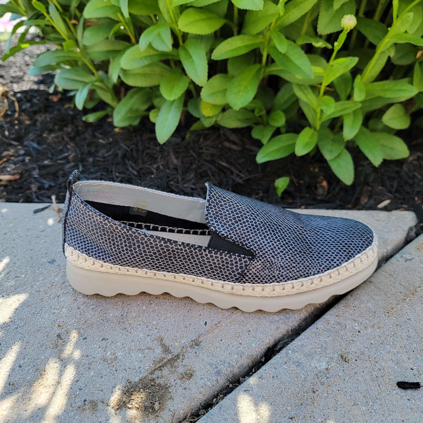 Chappie, SHOES, THE FLEXX, Plum Bottom