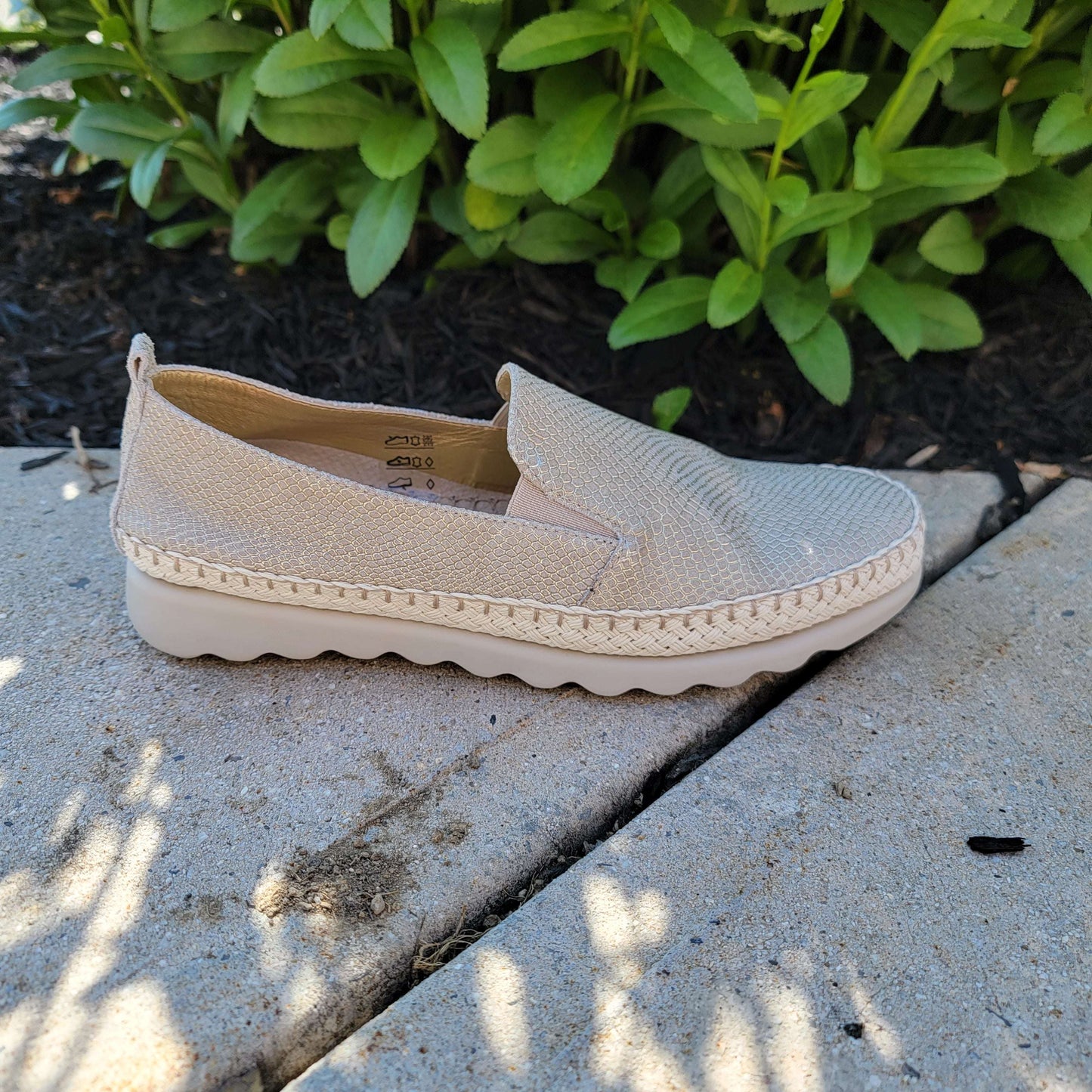 Chappie, SHOES, THE FLEXX, Plum Bottom