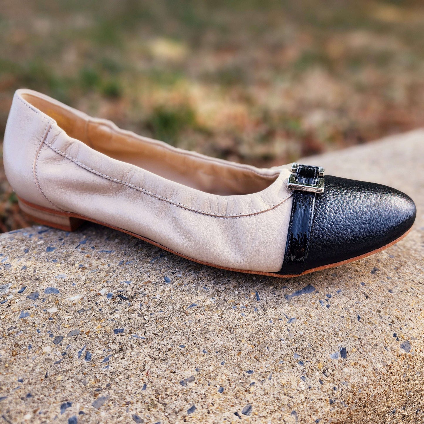 La Lisa - 225104, Ballet, lalisa, Plum Bottom