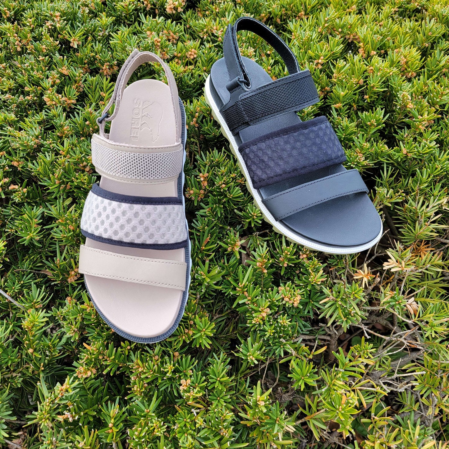 ROAMING DECON SLINGBACK, Sandals, Sorel, Plum Bottom