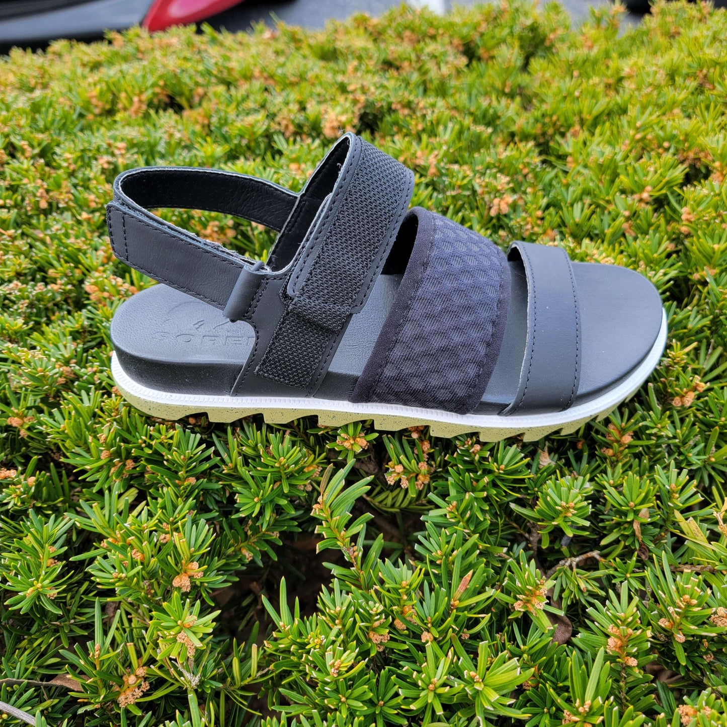 ROAMING DECON SLINGBACK, Sandals, Sorel, Plum Bottom