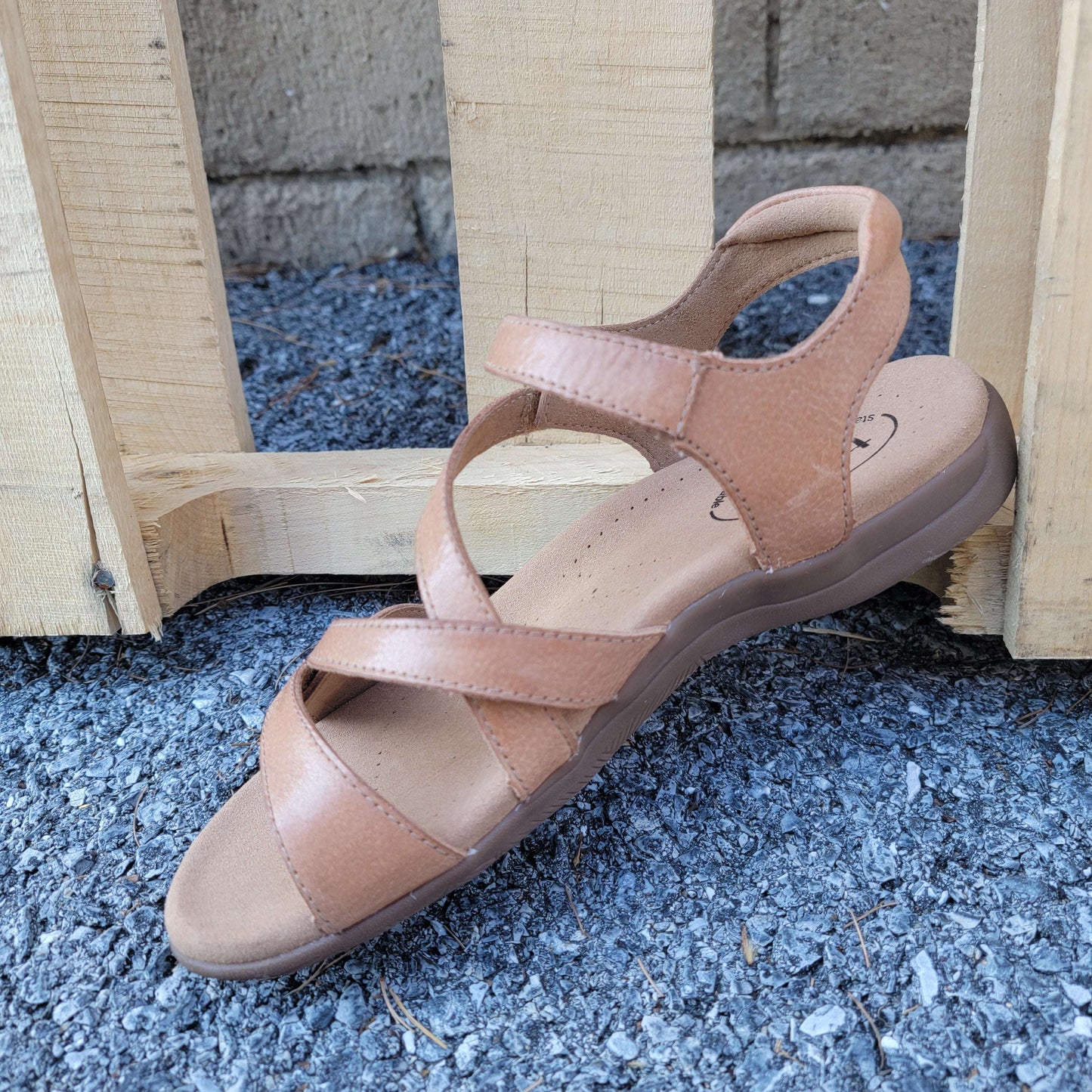 Taos - Big Time, SHOES, TAOS, Plum Bottom
