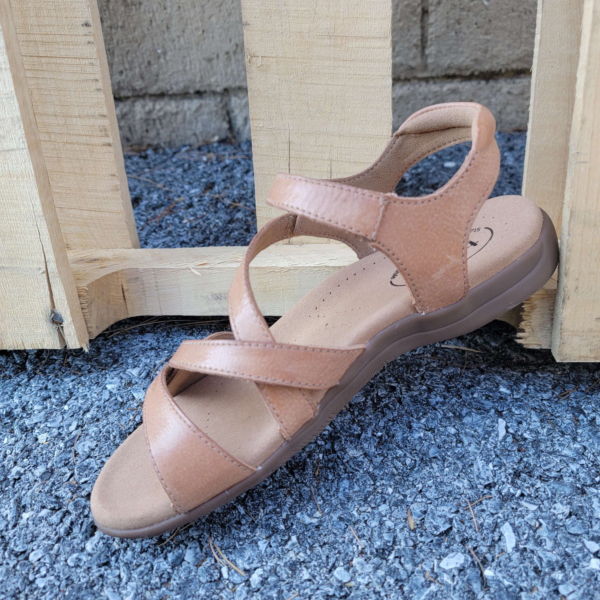 Taos - Big Time, SHOES, TAOS, Plum Bottom
