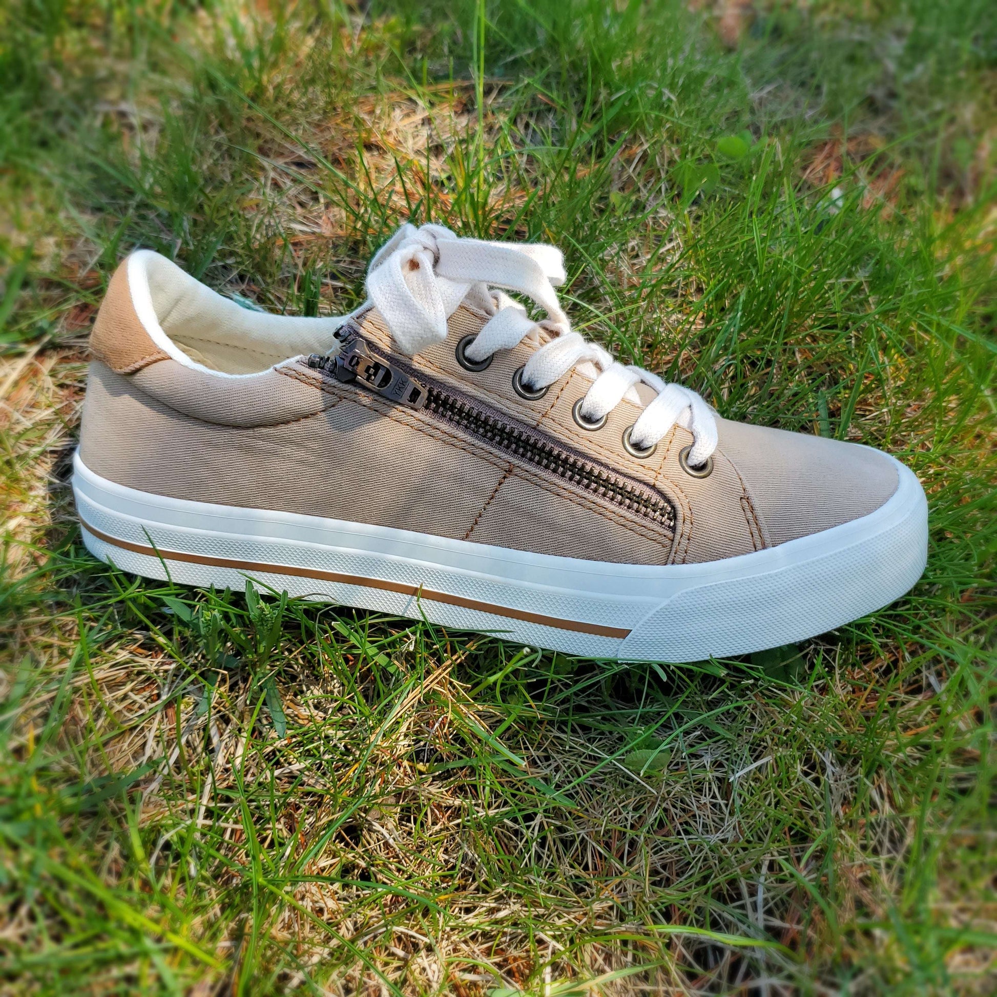 Taos - Z Soul Canvas Sneaker, SHOES, TAOS, Plum Bottom