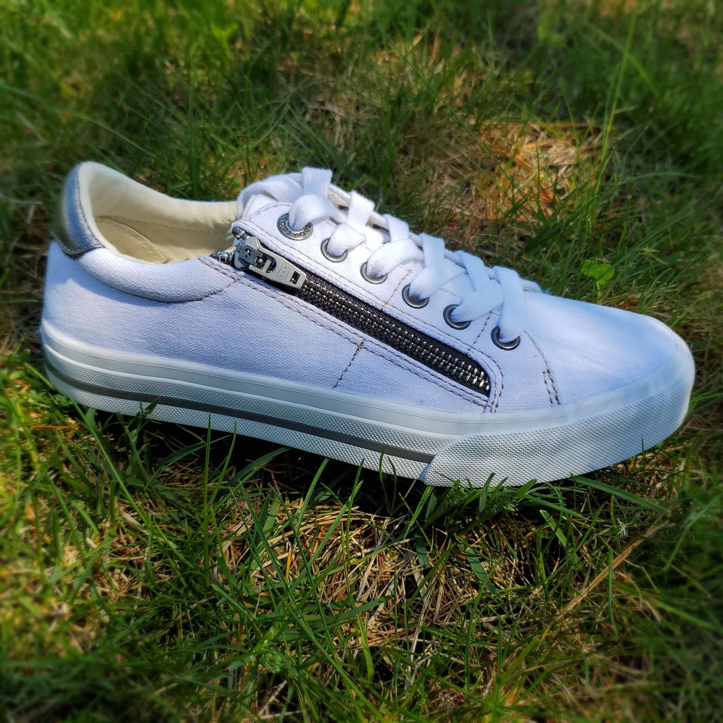 Taos - Z Soul Canvas Sneaker, SHOES, TAOS, Plum Bottom