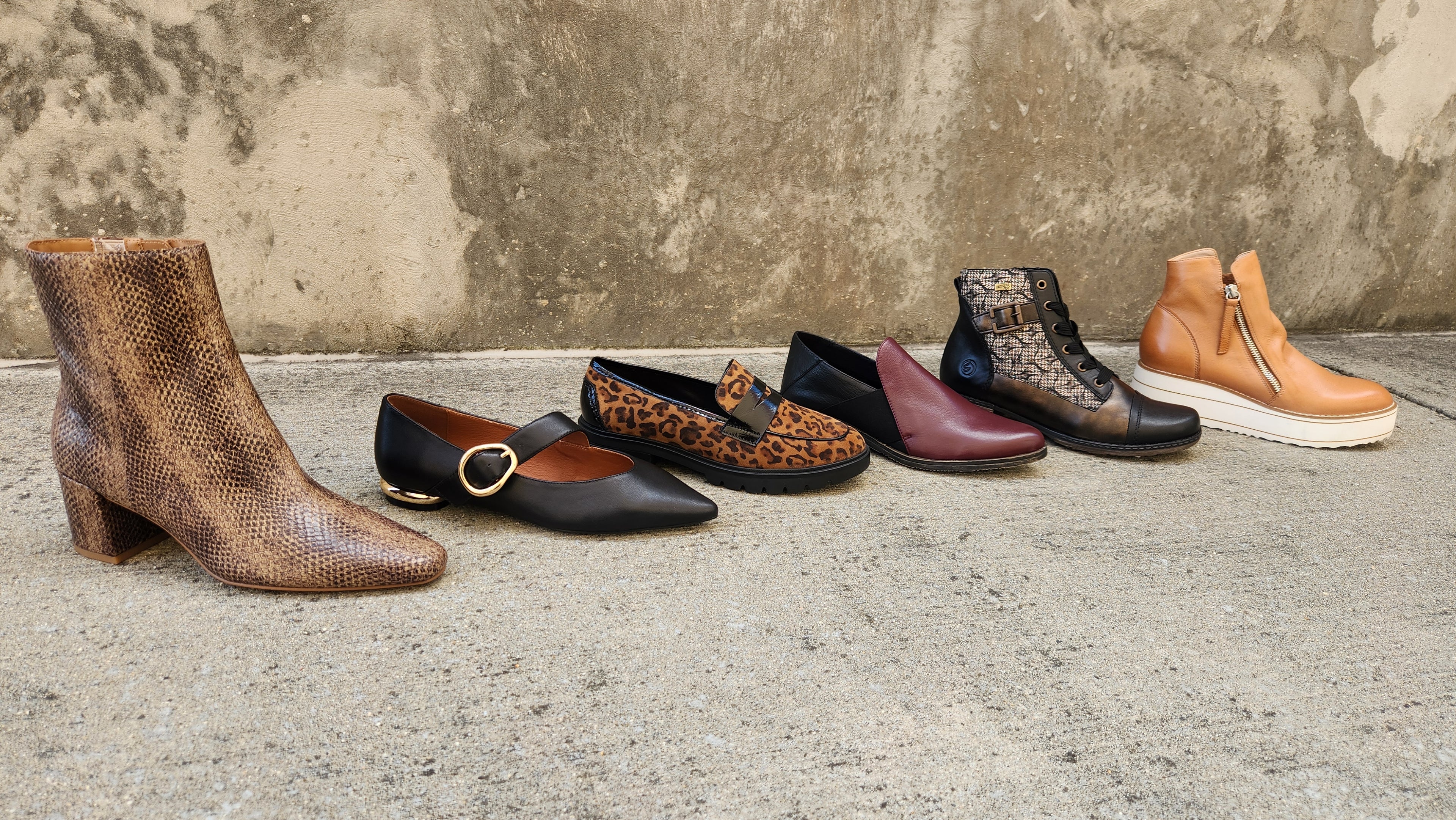 Six women's ankle boots and loafers in various styles and colors, including snakeskin, leopard print, black, burgundy, and tan, lined up on a concrete surface against a textured concrete wall.