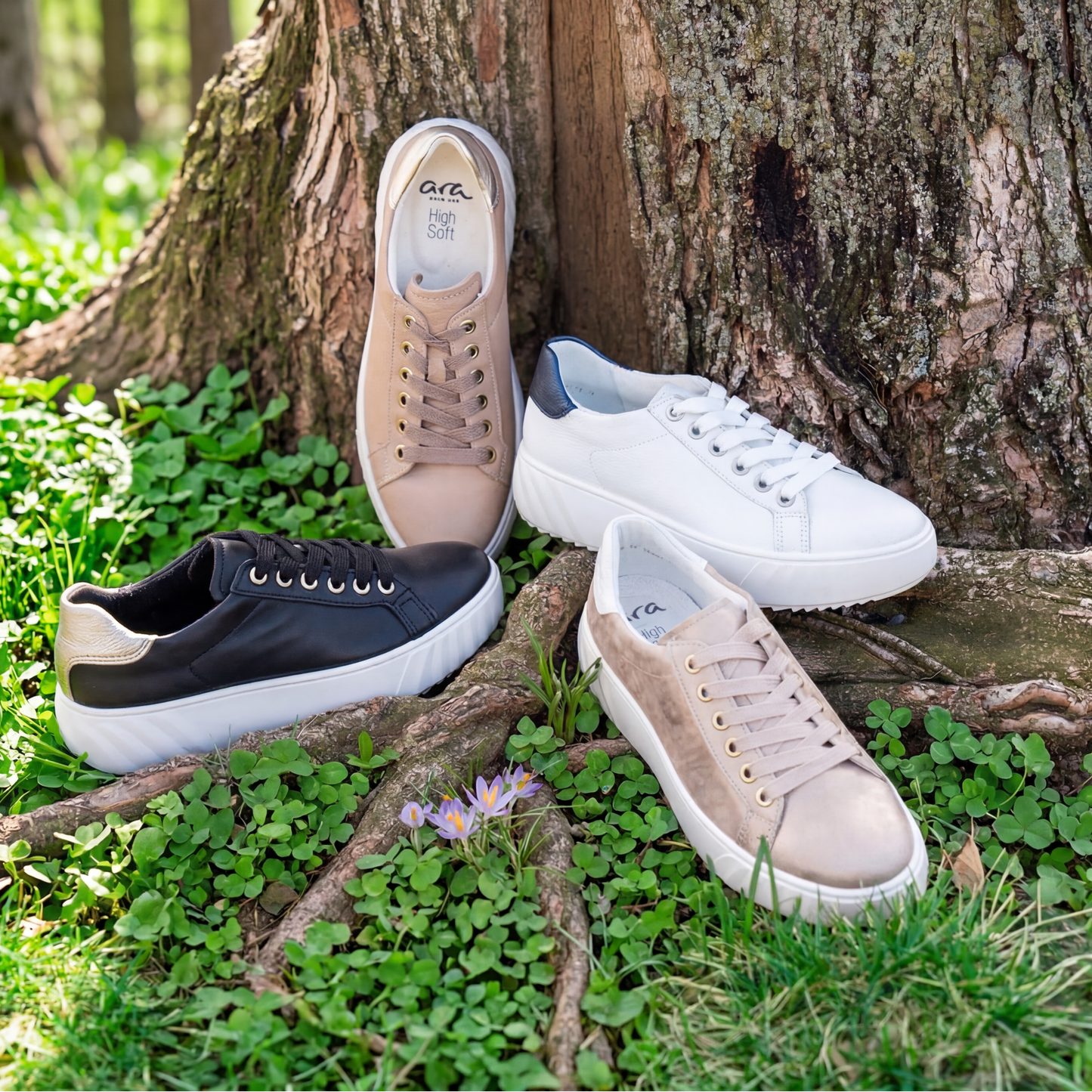 ARA 46523 Mikky Sneaker, Sneakers, Ara, Plum Bottom