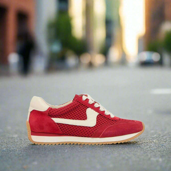 DOLCE VITA B.NTCD Red Sneaker | Plum Bottom display picture 1