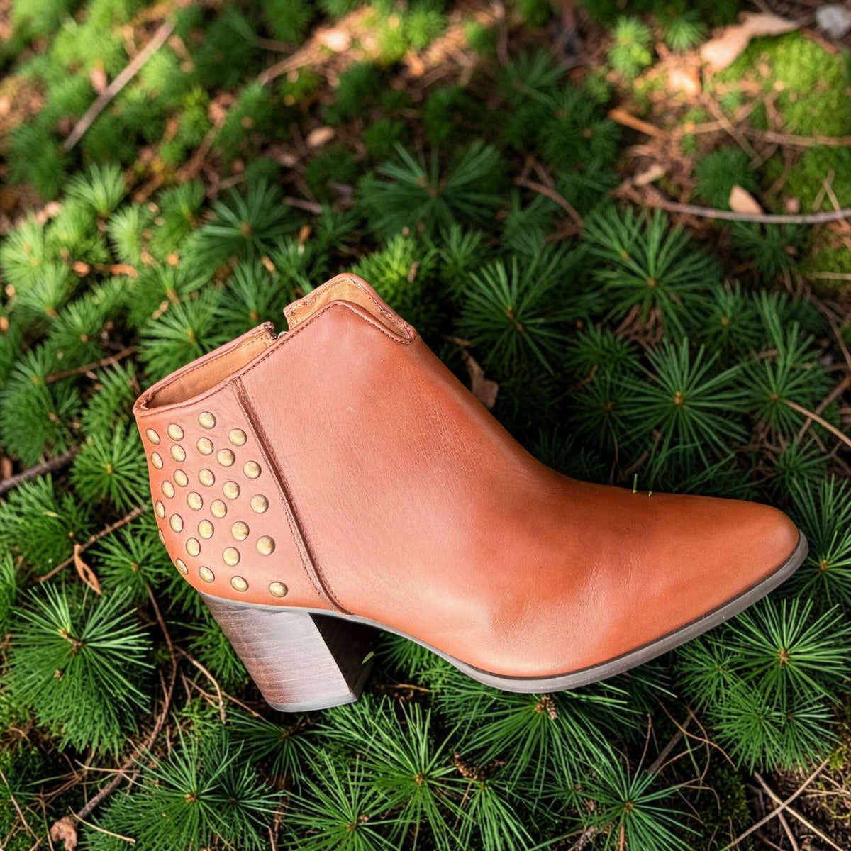 Plum Bottom CHOCOLAT BLU Edie brown leather ankle boot with gold stud detailing on a green pine needle forest floor.