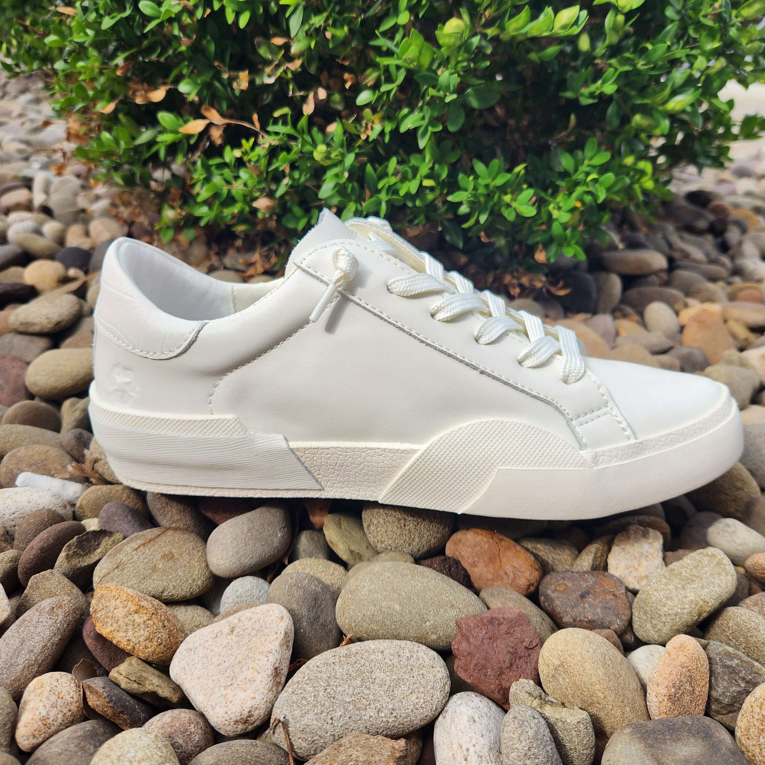 Dolce vita clearance star sneakers