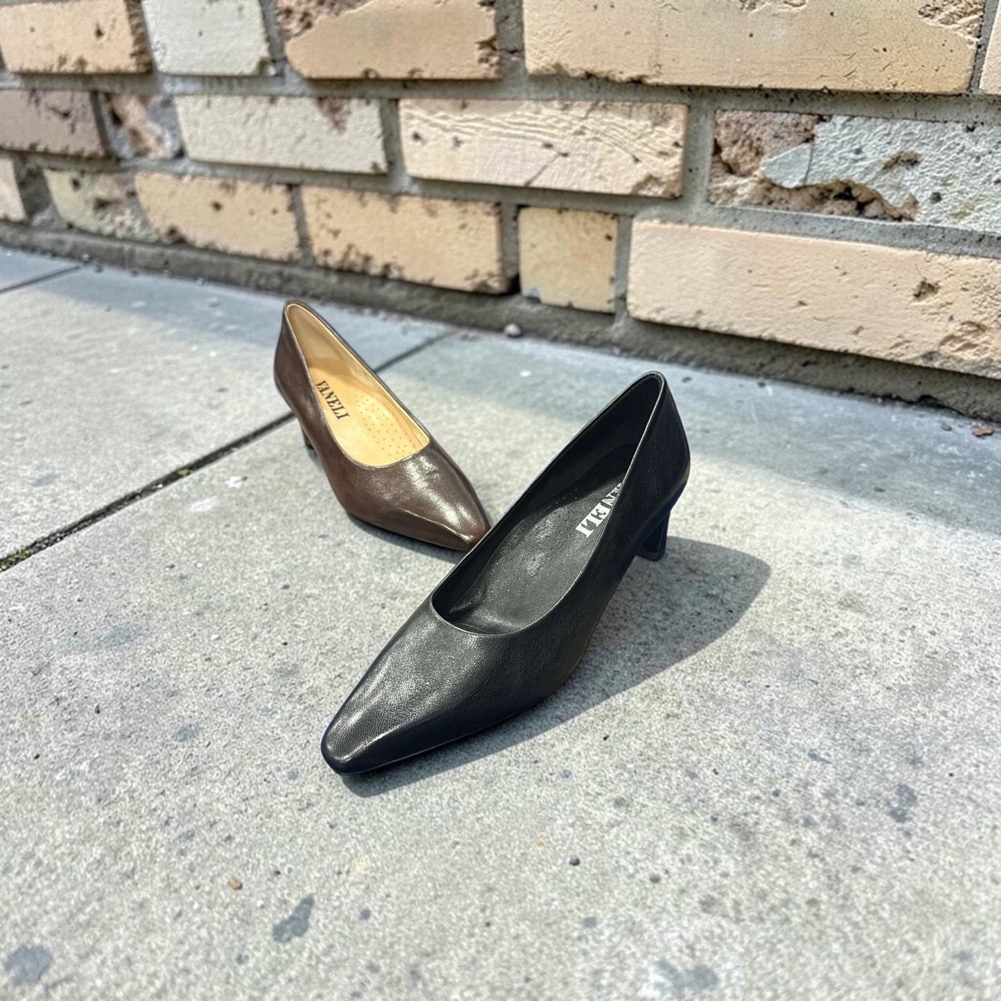Plum Bottom VANELI Windy pointed-toe pumps in black and brown leather