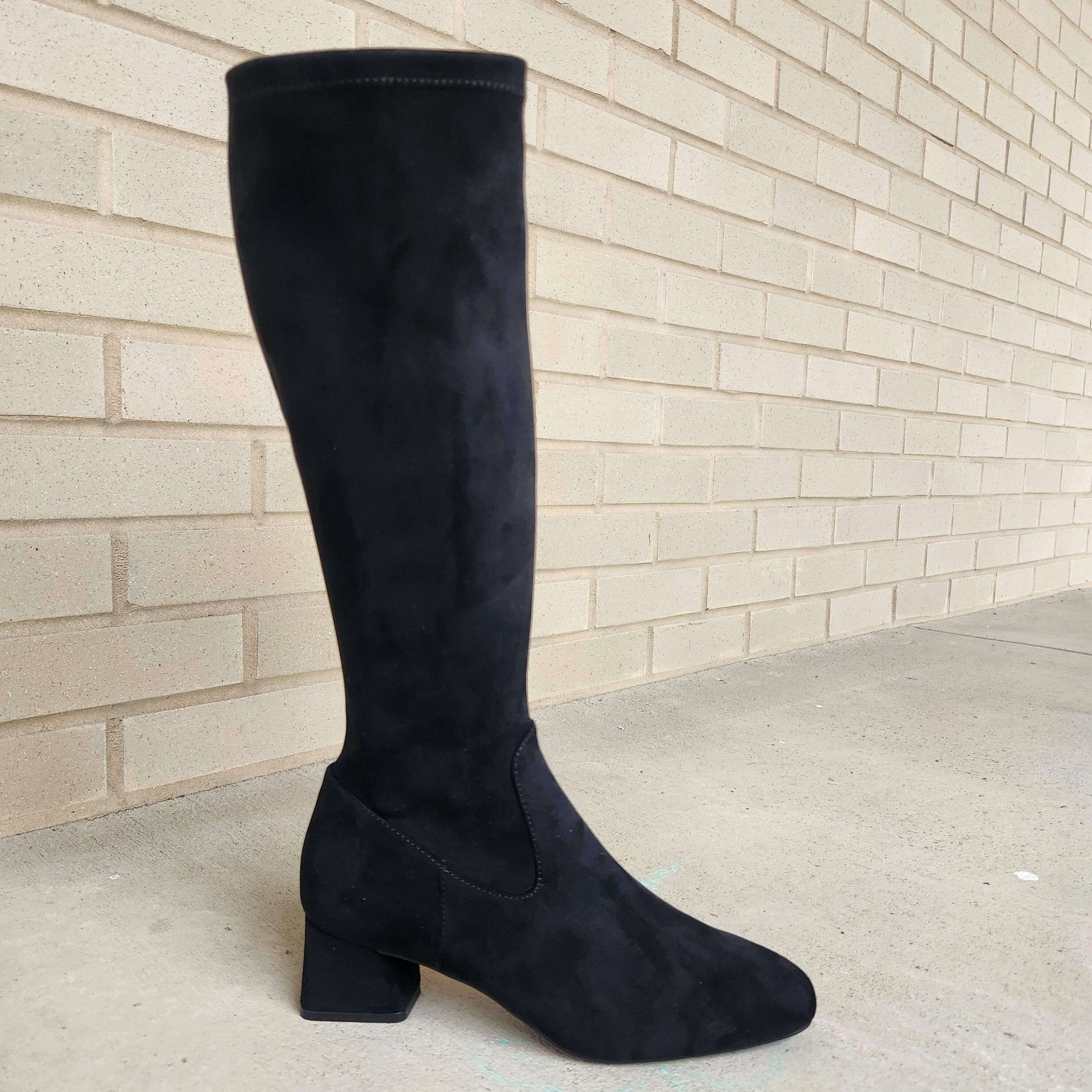 Plum Bottom VANELI Zovy black stretch suede tall boot with an almond toe and a comfortable block heel.