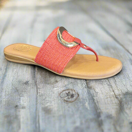 ANDRE ASSOUS - Nixi - Red Chamois
