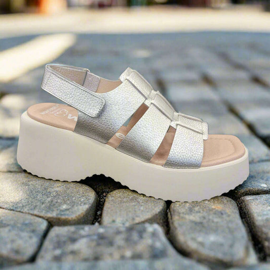 wonders---d-9724clearancewondersplum-bottom-34269884