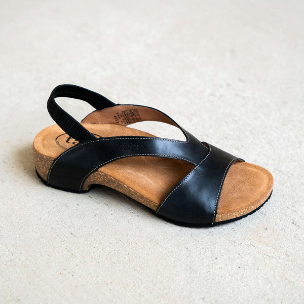 TAOS VENTURE – Plum Bottom