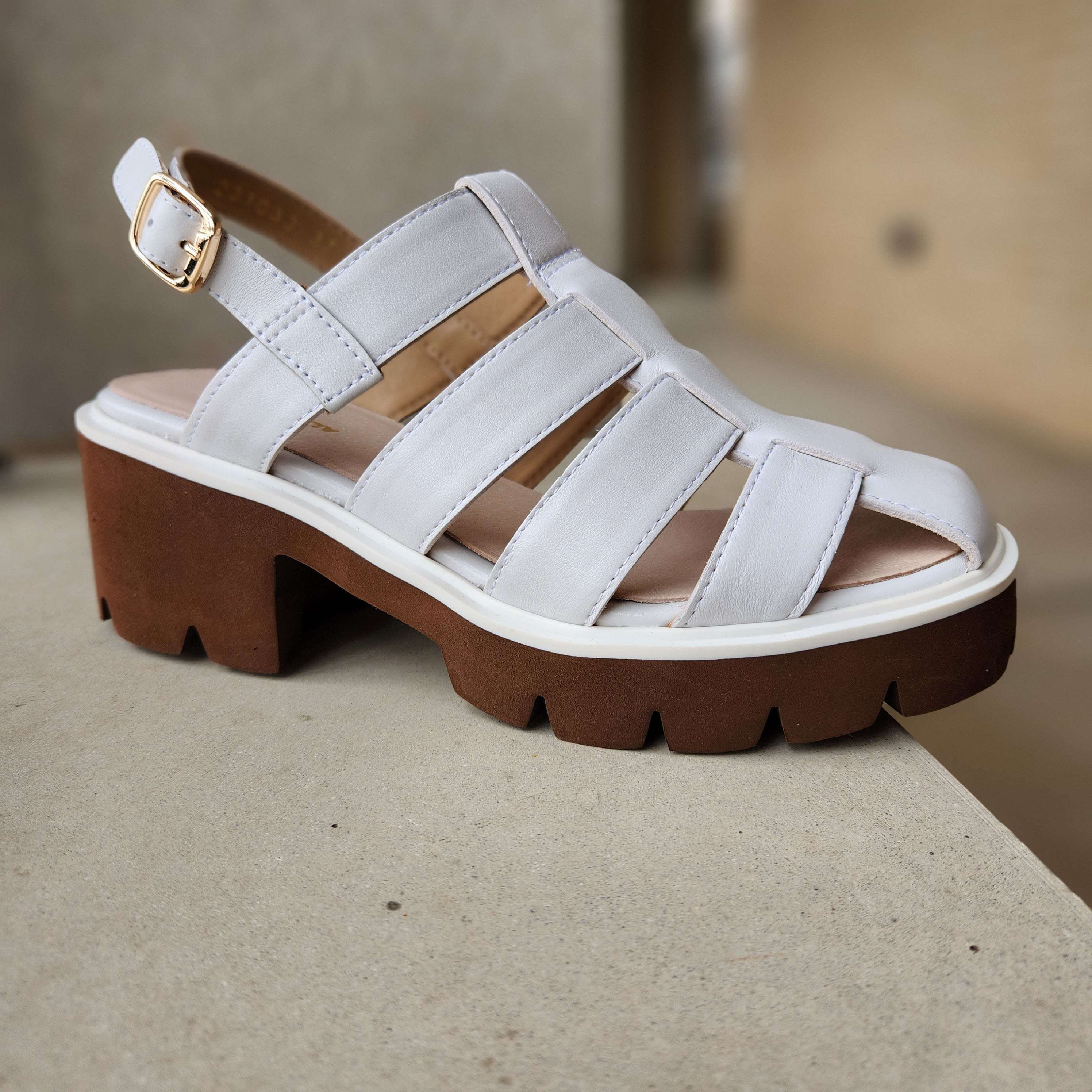 Minimalist Braided Chunky Heeled Gladiator Sandals | SHEIN IN
