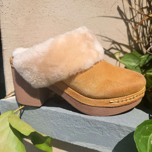 Antelope - Sera, Slides, Antelope, Plum Bottom