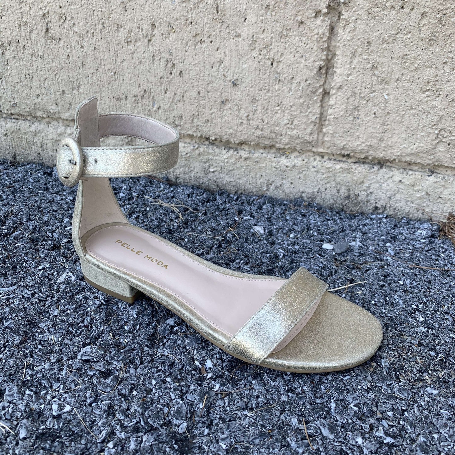[Pelle Moda- Newport Soft Gold Leather Flat Sandal], [Sandals], [Pelle Moda], [Plum Bottom].