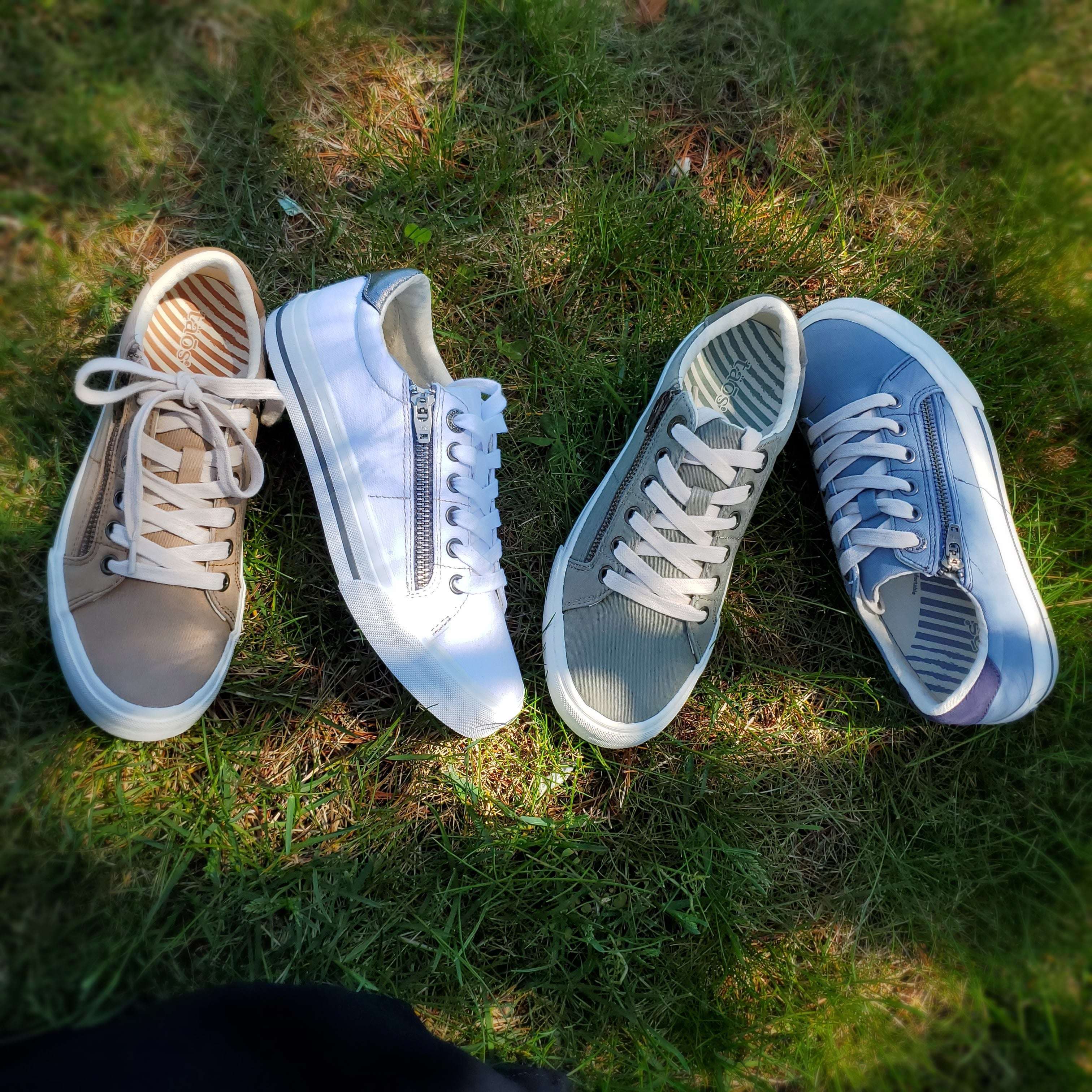 Taos clearance canvas shoes